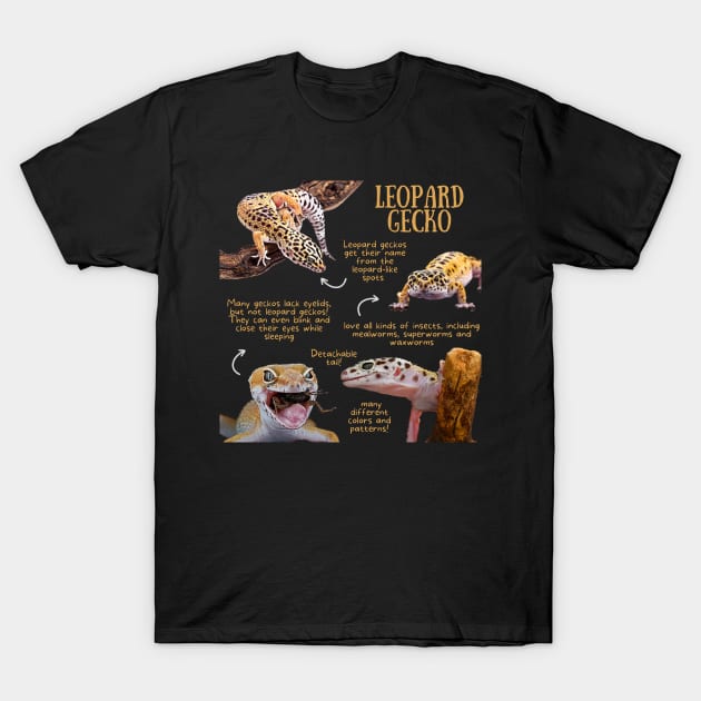 Animal Facts - Leopard Gecko T-Shirt by Animal Facts and Trivias